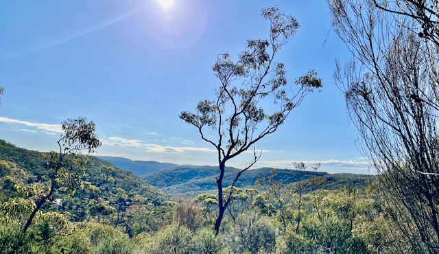Hiking Adventure For 26 June 2024 - View of Australian National Park