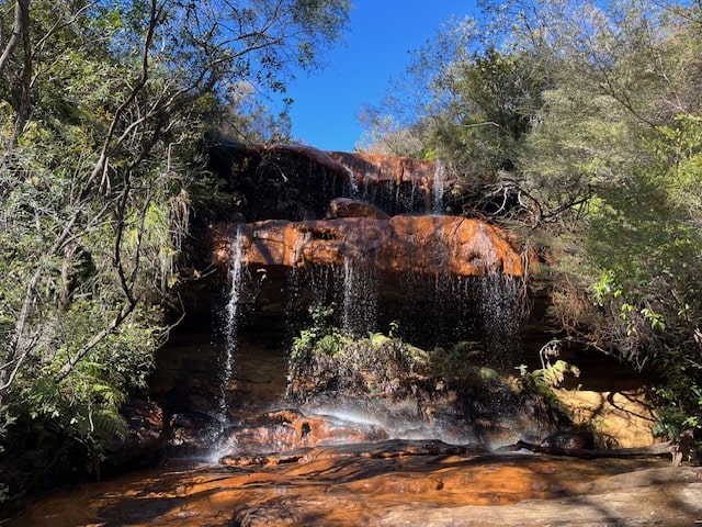 Hiking Adventure For 17 July 2024 - Fairy Falls