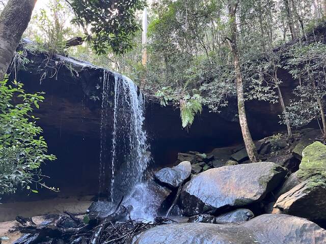 Hiking Adventure For 17 July 2024 - Oakland falls 