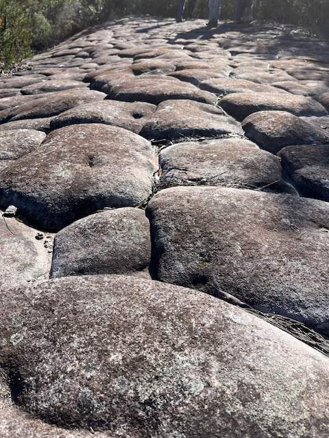 Hiking Adventure For 26 June 2024 - Tessellated rock platform