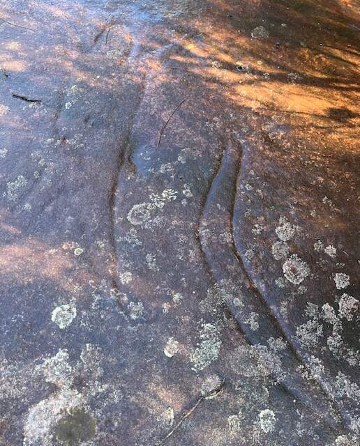 Hiking Adventure For 26 June 2024 - Australian Aboriginal engravings