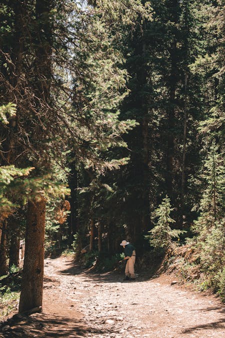 How Are Walks Graded? - Flat wide trail.