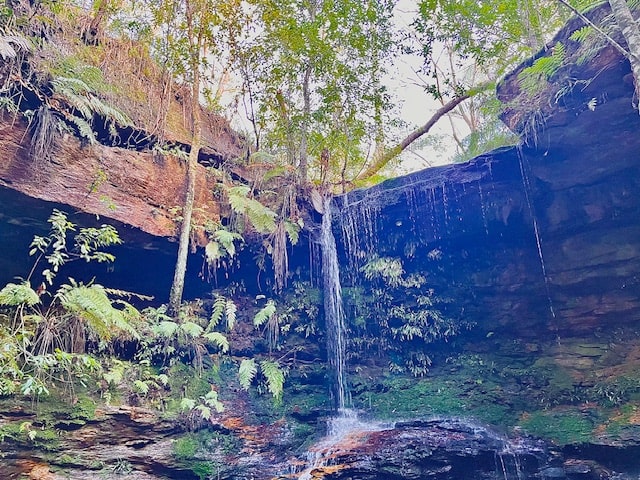 How To Take Nature Photos - second edit of the photo