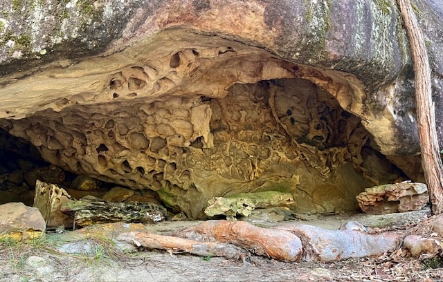 NSW Central Coast Hikes - A sandstone overhang