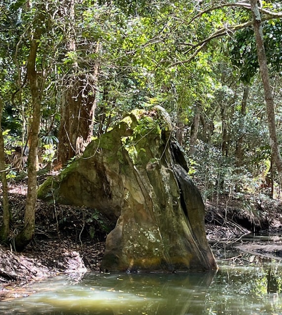 NSW Central Coast Hikes - Skull Rock