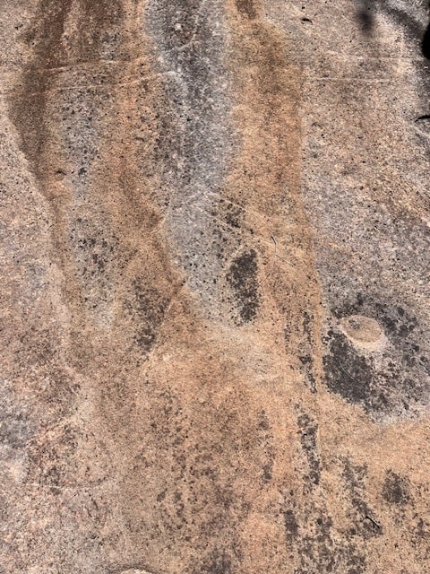NSW Central Coast Hikes - Aboriginal rock carving