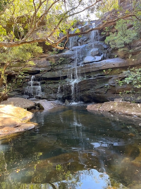 NSW Central Coast Hikes - Kariong Brook Falls