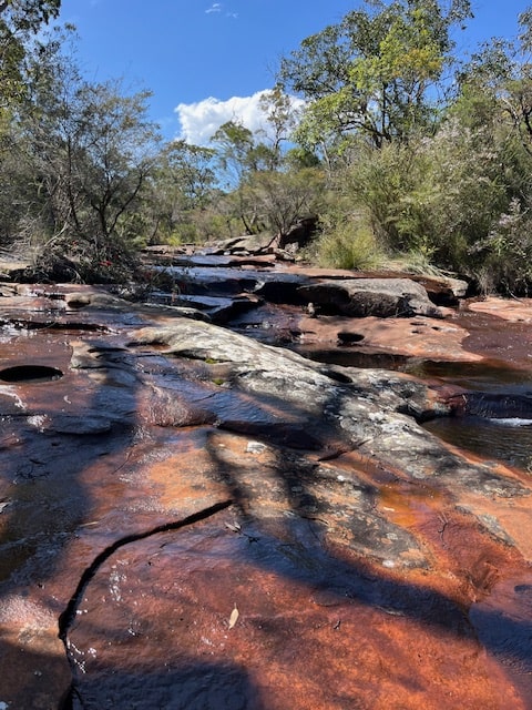 NSW Central Coast Hikes - Waterfall Creek