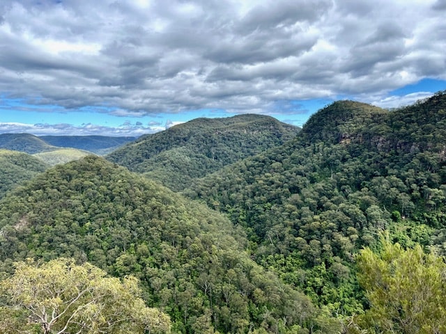 Hiking Adventure For 19 October 24 - View of Pattertson Hill