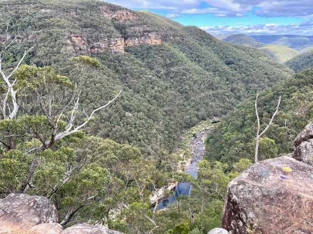 Best Hikes In The Blue Mountains - View of Grose River