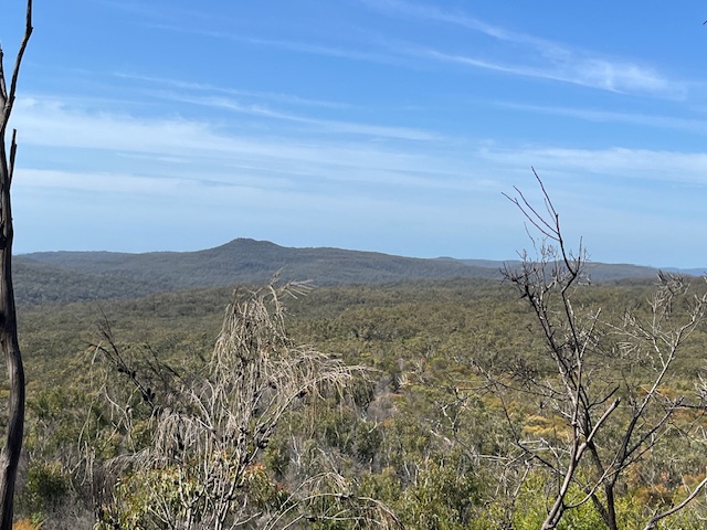 Hiking In Brisbane Waters National Park - View of Brisbane Waters National Park