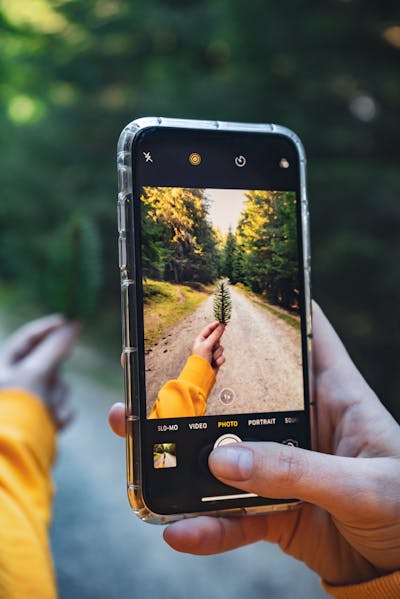 How To Take Nature Photos - Taking photo of a leaf