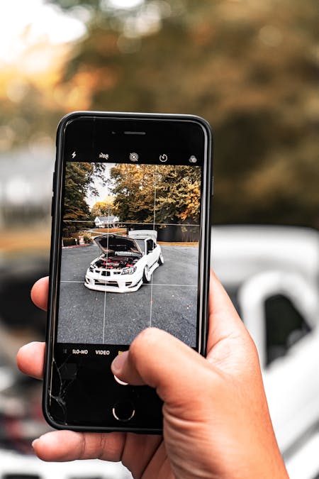 How To Take Nature Photos - Phone camera with a grid