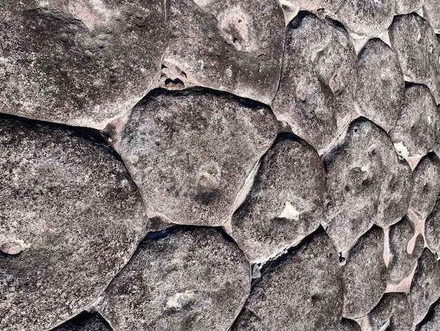 How To Take Nature Photos - tesselated path