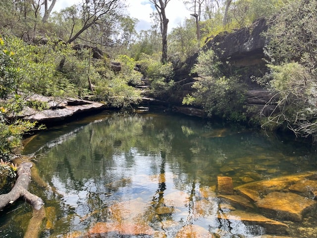 NSW Central Coast Hikes - Emerald Pool