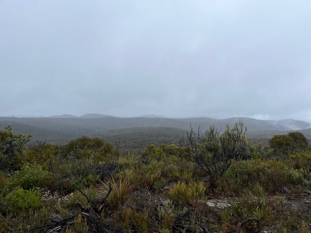 My Hiking Adventure For 2 November 24 - Misty view