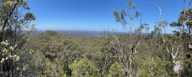 Hiking Adventure For 6 November 24 - View from Mount Olive