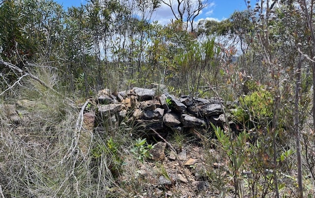 Hiking Adventure For 20 November 24 - Remains of William Murphy Hut