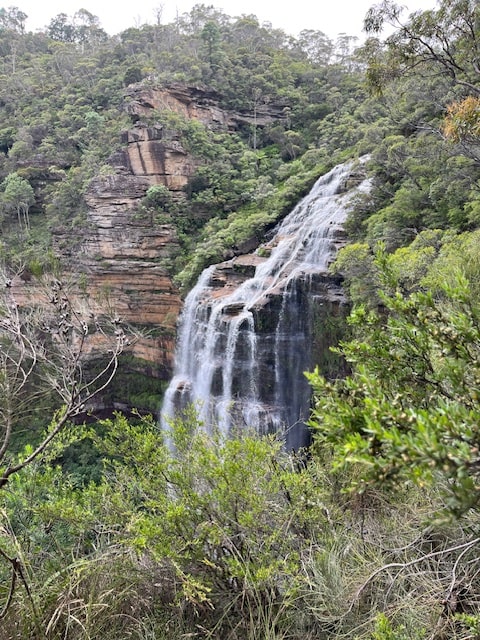 Hiking Adventure for 4 December 2024 - Falls from Rocket Point Lookout