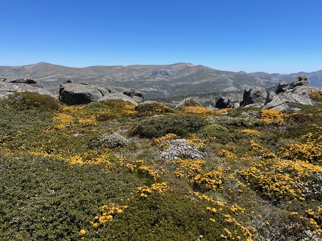 Kosciuszko National Park Mount Stilwell Hike - View from Little Stilwell