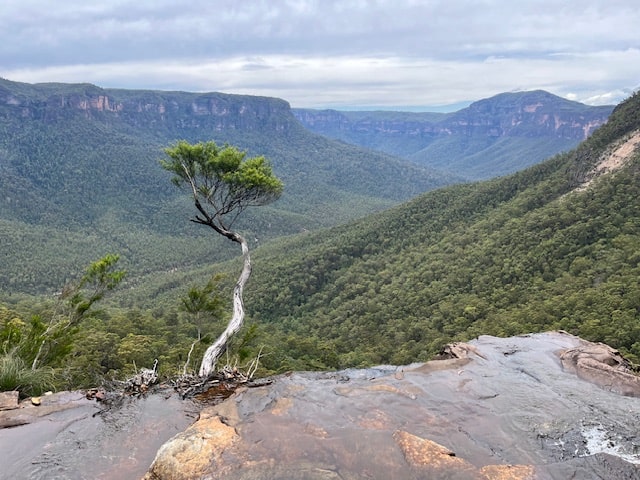 Hiking Adventure For 28 December 2024 - View from